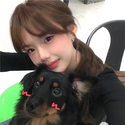 奇犬良缘海报