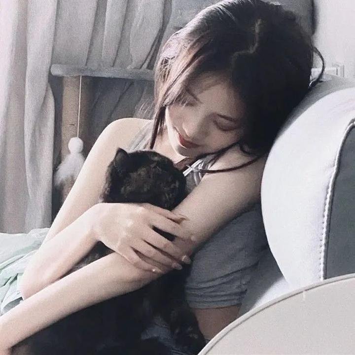 猫与爷爷海报